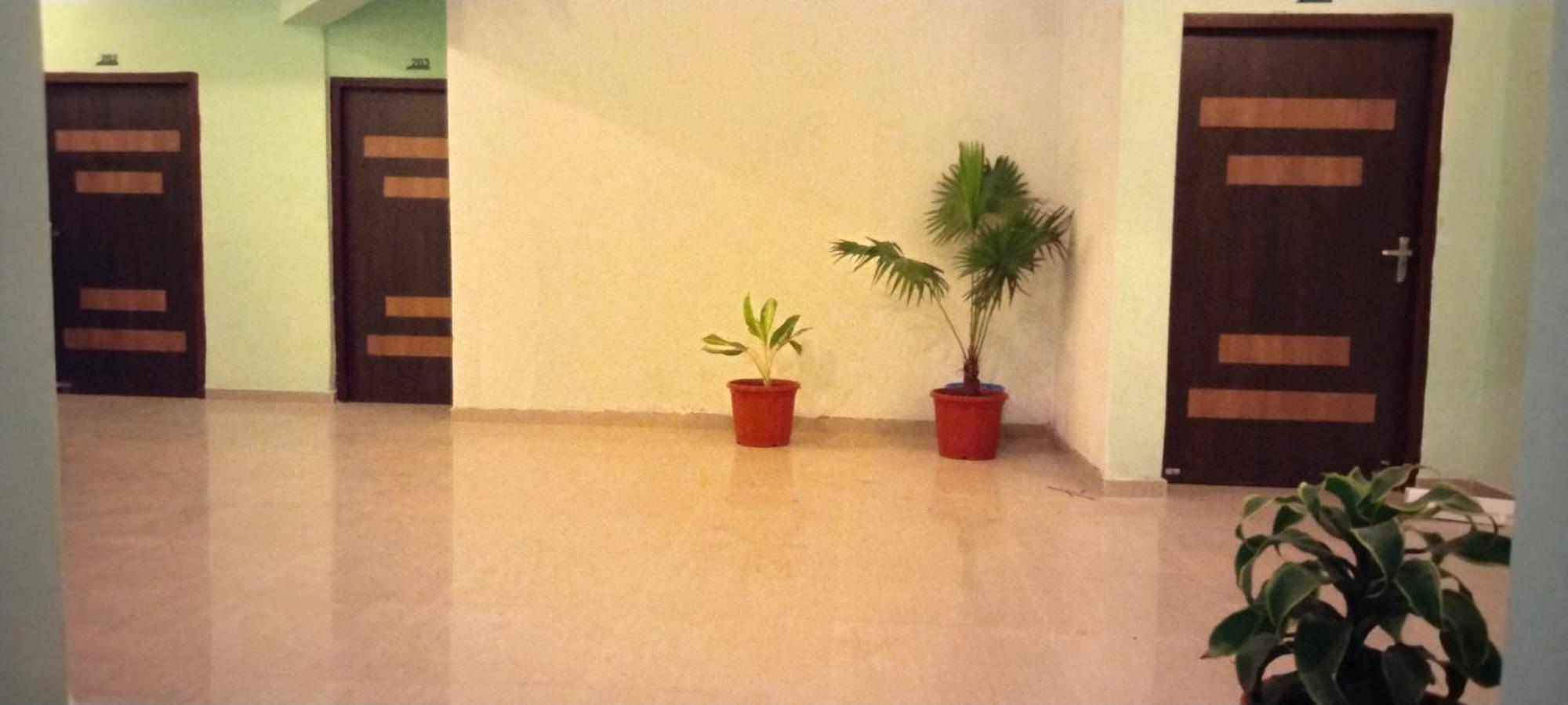 Greens 3*